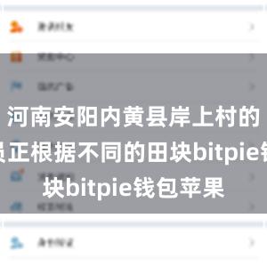 河南安阳内黄县岸上村的农技人员正根据不同的田块bitpie钱包苹果