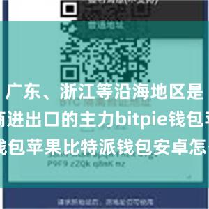 广东、浙江等沿海地区是跨境电商进出口的主力bitpie钱包苹果比特派钱包安卓怎么下载