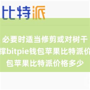 必要时适当修剪或对树干进行支撑bitpie钱包苹果比特派价格多少