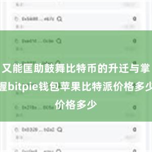 又能匡助鼓舞比特币的升迁与掌握bitpie钱包苹果比特派价格多少