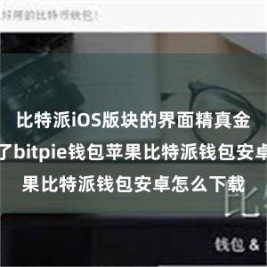 比特派iOS版块的界面精真金不怕火明了bitpie钱包苹果比特派钱包安卓怎么下载